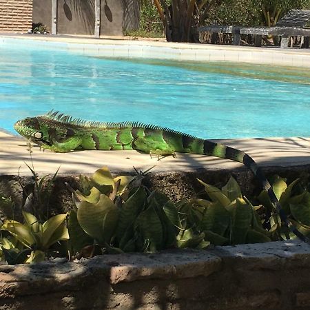 Casa Caicara Villas De Praia Cruz  Екстер'єр фото